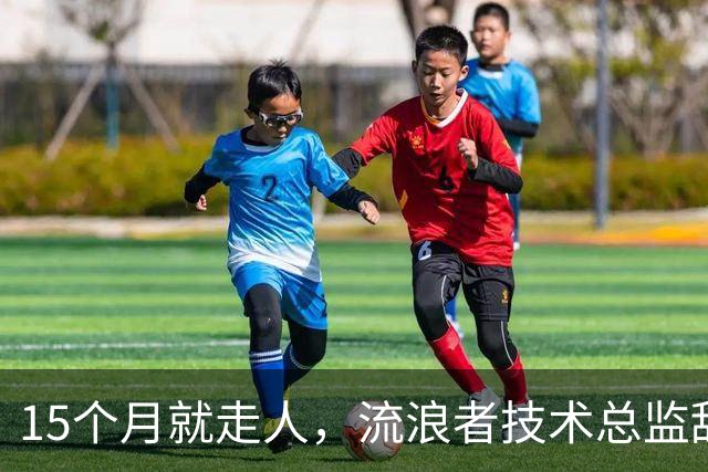 15个月就走人，流浪者技术总监辞职